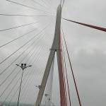 nguyenVinh Profile Picture