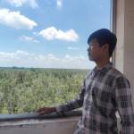 Chimchichchoe Profile Picture