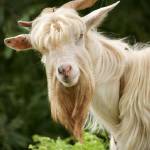 Thamdu69 Profile Picture