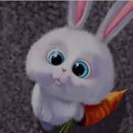 Dung Dang Profile Picture