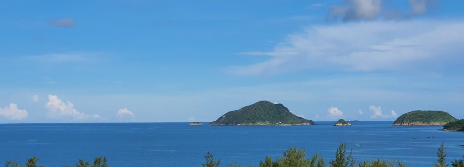 Trần Tuấn Cover Image
