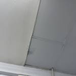 Cubu123 Profile Picture