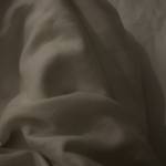 Pain Hallow Profile Picture