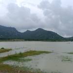 Thịnh Lê Profile Picture