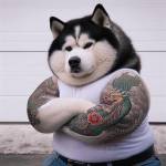 Long Vong Profile Picture