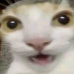 Hung778 Profile Picture
