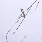 Long Thanh Profile Picture