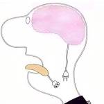 HNC H Profile Picture