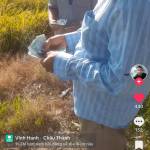 Tu Nguyễn Profile Picture