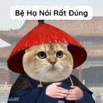ng ndk Profile Picture