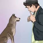 Chieu Coldly Profile Picture