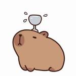 Nhan Nhan Profile Picture