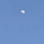 PIEDT Profile Picture