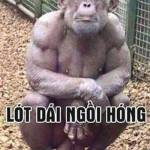 Trung Nguyễn Profile Picture