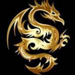 Hoàng Long Profile Picture