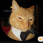 Yyyuu Profile Picture