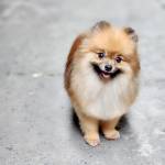 Thành Lâm Profile Picture