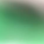 Huy Ngo Profile Picture