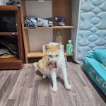 Thanh Tuyen Profile Picture