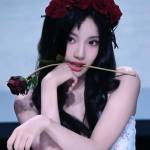Phúc Nguyễn Profile Picture