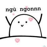 Hoa Nguyễn Profile Picture