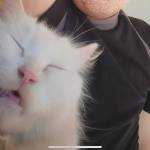 Minhly Profile Picture