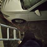 Bao Danh van Profile Picture