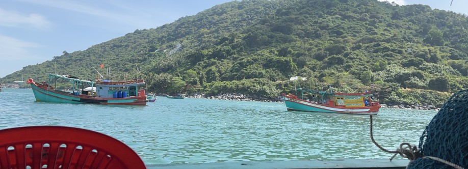 Huy Huy Cover Image