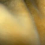 Duonggiotai Profile Picture