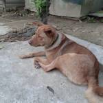 Dương Tran Profile Picture
