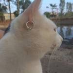 Sơn Nguyễn Profile Picture