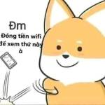 0375266306 Profile Picture