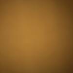 Linh Tran Profile Picture