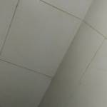 dama878 Profile Picture