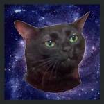 Phong Lam Profile Picture