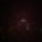 Anhnguyen Tuy Profile Picture
