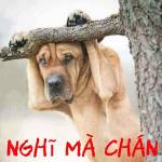 Phong Nam Profile Picture