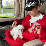 hoang nguyen Profile Picture