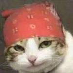 Lê A Profile Picture