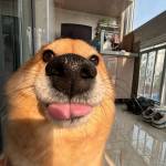 Bu Bu Profile Picture
