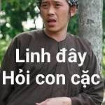 Huy Hoàng Profile Picture