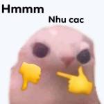 Toàn Nguyễn Profile Picture