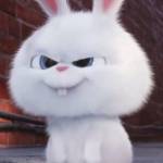 trung nguyen Profile Picture