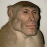 Ha Tran Profile Picture
