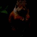 Nam Zu Profile Picture