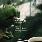 Thành Quàng Profile Picture