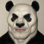 Ni Co Profile Picture