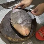 Phúc Bùi Profile Picture