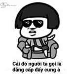 Tung Nguyen Profile Picture