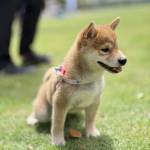 Ogysaki Profile Picture